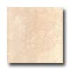 Portobello Portobello Series 18 X 18 White Tile  &  Stone