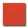 Daltile Daltile Semi-gloss 4 1 / 4 X 4 1 / 4 Coral Bead Tile  &  Stone