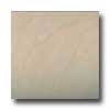 Tilecrest Tilecrest Porcelain Series 20 X 20 Ivory Tile  &  Stone