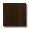 Hartco Hartco Premier Performance Birch 3 Vanilla Bean Hardwood Floorin