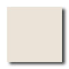 American Olean American Olean Unglazed Ceramic Mosaics 1 X 1 Linen Tile  &  Stone