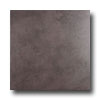 Emser Tile Emser Tile Capriccio 20 X 20 Anthracite Tile  &  Stone