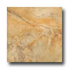 Tesoro Tesoro Painted Desert 20 X 20 Oro Tile  &  Stone