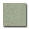 Armstrong Armstrong Medintech Tandem Inlaid Moss Vinyl Flooring