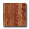 Pergo Pergo Everyday Red Oak Laminate Flooring