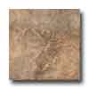 Marazzi Marazzi Forest Impressions 18 X 18 Noce Tile  &  Stone