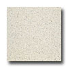 Armstrong Armstrong Medintech Homogeneous Color Fleck Vinyl Flooring