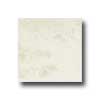Interceramic Interceramic Valencia 12 X 12 Matte Nieve Tile  &  Stone