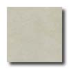 Bella Cera Bella Cera Slate 6 X 6 Bone Tile  &  Stone