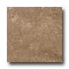 Atlas Concorde Atlas Concorde Diamante 12 X 12 Polished Moka Tile  &  Stone