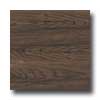 Earth Werks Earth Werks Montana Plank Gmp9932 Vinyl Flooring