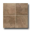 Mohawk Mohawk Paradiso 20 X 20 Brun Tile  &  Stone