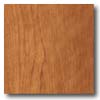 Congoleum Congoleum Forum Plank - Brentwood Honey Vinyl Flooring