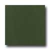 Marazzi Marazzi I Colori 12 X 12 Green Tile  &  Stone