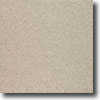 Marazzi Marazzi Graniti Polished 16 X 16 Serizzo (fog) Tile  &  Stone