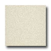 Armstrong Armstrong Medintech Tandem Inlaid Freesia Pearl Vinyl Flooring