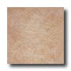 Tesoro Tesoro Tropical 18 X 18 Walnut Tile  &  Stone