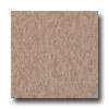 Armstrong Armstrong Excelon Imperial Texture Cafe Latte Vinyl Flooring