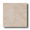 New World New World Chicago 12 X 12 Beige Tile  &  Stone