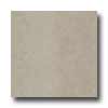 Daltile Daltile City View 24 X 24 Skyline Gray Tile  &  Stone