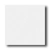 American Olean American Olean Integra 8 X 8 Ice White Solid Tile  &  Stone
