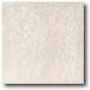 Daltile Daltile Landscape (textured) 12 X 12 Paros Textured Tile  &  Stone
