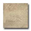 Portobello Portobello Pietra 18 X 18 Walnut Tile  &  Stone
