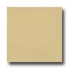 Marazzi Marazzi Le Cromie Matt Natural 12 X 12 Citrino Tile  &  Stone