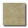 Eliane Eliane Athena 16 X 16 Beige Tile  &  Stone
