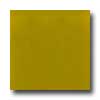Diamond Tech Glass Diamond Tech Glass Dimension Mosaic 1 X 1 Yellow Tile  &  Stone