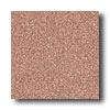 Crossville Crossville Cross-colors A 6 X 6 Polished Spice Mist Tile  &  Stone