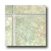 Domco Domco Image - Terraglo 62241 Vinyl Flooring