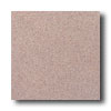 American Olean American Olean Terra Granite 12 X 12 Speckled Coral Tile  &  Stone