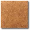 Daltile Daltile La Costa 6 X 6 Rust Tile  &  Stone