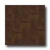 Metroflor Metroflor Tru-woods Collection - Handstained Maple Ocha Vinyl Fl