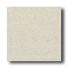 American Olean American Olean Terra Paver Unpolished 8 X 8 Mont Blanc Tile  &  St