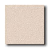Crossville Crossville Cross-colors A 12 X 12 Polished Shetland Tile  &  Stone