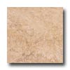Tesoro Tesoro Travertino Fiorito 13 X 13 Gold Tile  &  Stone
