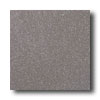 American Olean American Olean Terra Granite 12 X 12 Speckled Nantucket Tile  &  S