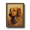 Milliken Milliken Hautman Collection 3 X 4 Golden Retriever Area Rugs