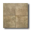 American Olean American Olean Calais 19 X 19 Moulin Brun Tile  &  Stone