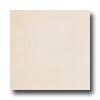 Casa Dolce Casa Casa Dolce Casa Neutra 16 X 16 Avorio Tile  &  Stone