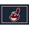 Milliken Milliken Cleveland Indians 8 X 11 Cleveland Indians Spirit Area