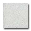 Santa Regina Santa Regina Designer 24 X 24 (polished) Blanco Terrazzo Tile