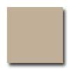 Daltile Daltile Design Porcelain Unpolished 4 X 4 Platino Tile  &  Stone
