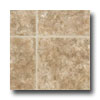 Tarkett Tarkett Preference Plus Nt - Mountain Side 12 Brownstone Vinyl F