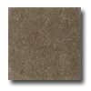 Daltile Daltile Diamante Polished 12 X 12 Ardesia Polished Tile  &  Stone