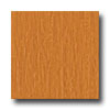Congoleum Congoleum Xclusive - Heritage Oak Red Oak Vinyl Flooring