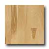 Harris-Tarkett Harris-tarkett Artisan Profiles Hickory Natural Hardwood Floorin