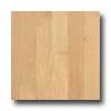 Hartco Hartco Premier Performance Maple 5 1 / 4 Maize Hardwood Flooring